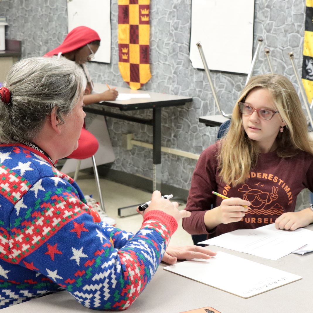  A student and tutor work together